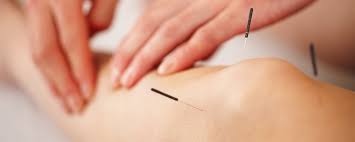 professionele acupunctuur training