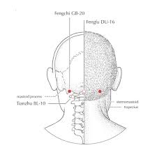 hooikoorts acupunctuurpunten