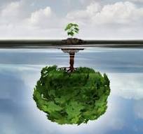 supervisie