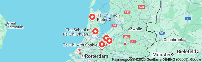 tai chi cursus
