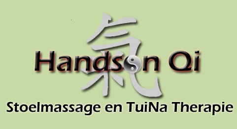 acupunctuur den bosch