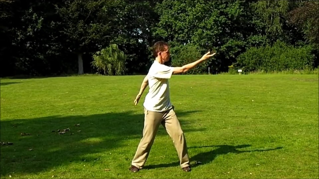 tai chi chi kung