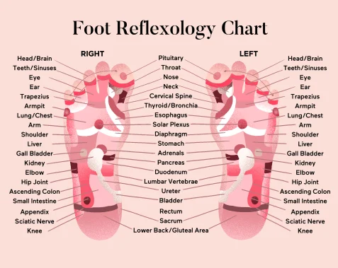 voetzoolreflexologie