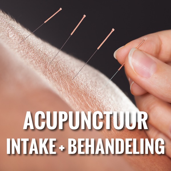 acupunctuur cursus
